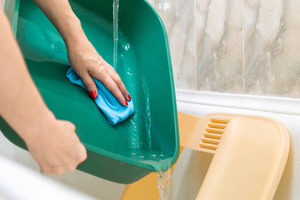 istock woman washing cat litter box in bathroom 2152552989
