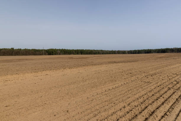 istock an agricultural field with plowed soil during spring sowing 2152553553