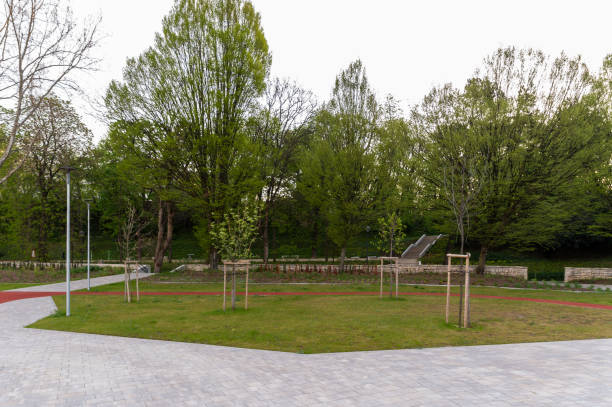istock Newly planted trees in a public park 2152556737