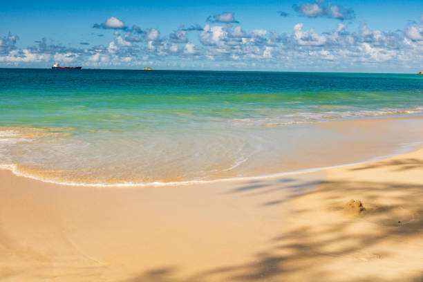 Caribbean beach with white sand, deep blue sky and turquoise water
