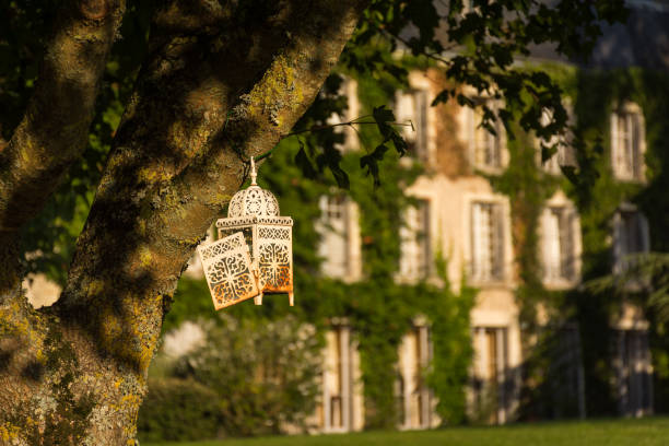 Scenic view of old rusty lantern hanging on tree with old building in background in Loire valley in France
