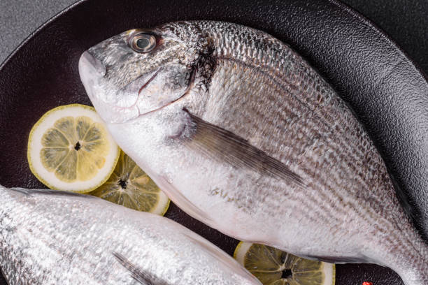 Whole raw dorado fish with lemon, salt, spices and herbs on a dark concrete background