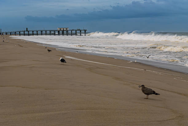 Remnants of Hurricane Earl as rough surf approaches the old fishing pier in Ocean Grove, New Jersey.
