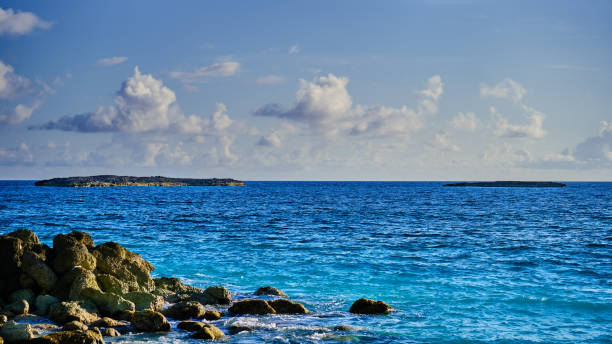 Rocky coast - Speighstown, Barbados