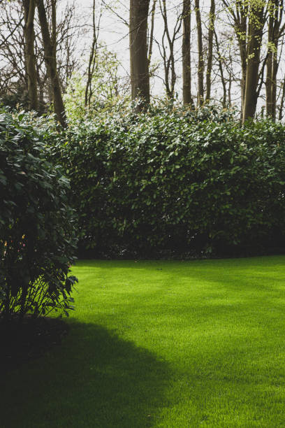 istock The perfect spot to relax in nature 2152582487
