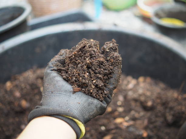 istock soil for vetgetable with earthwarm and bug in hand 2152586721