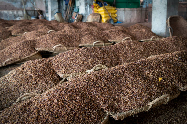 istock Grain used for brewing in traditional Chinese breweries 2152586984