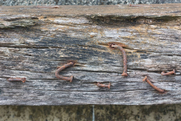 close-up of old rusty nails on dirty wooden plank, aged weathered iron or steel nails exposed to moisture and oxidized, flat lay with copy space