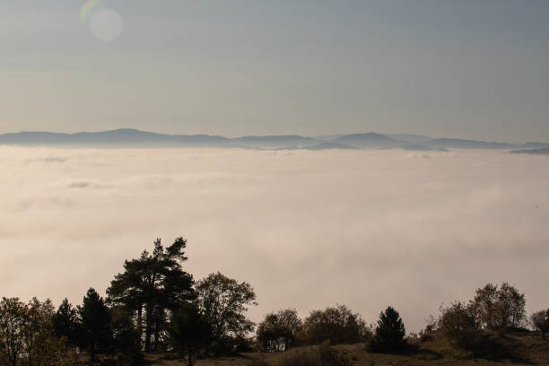 Sea of clouds, hill, forest and trees visible through