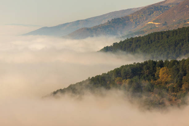 istock Sea of ​​clouds 2152590793