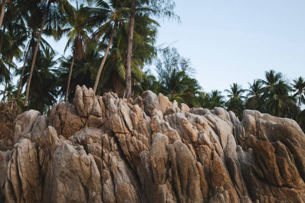 Rugged Rocks and Tropical Palms on a Secluded Beach.