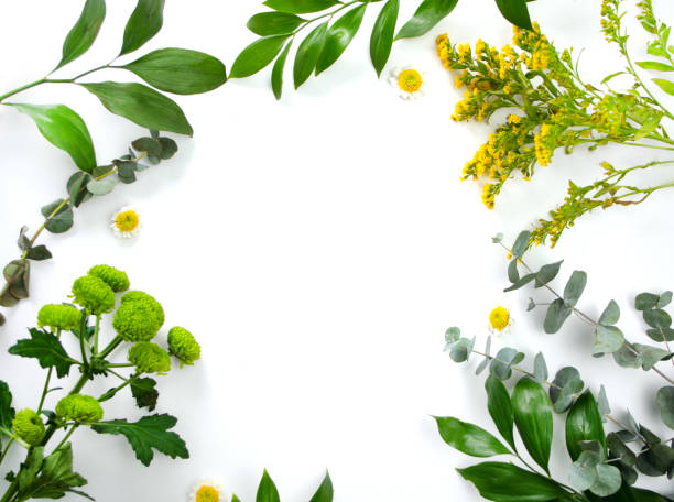 istock Frame with green plants and flowers. Space for text. Greetings template 2152595545