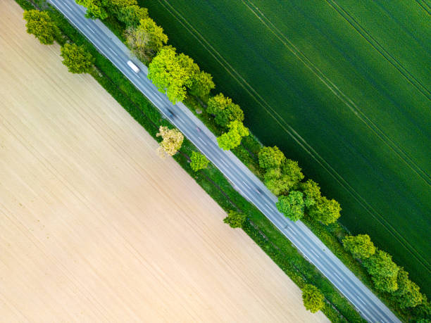 istock Aerial view of road through fields, one side lush grass, other side prepared for sowing. Drone shot captures rural landscape. 2152596165