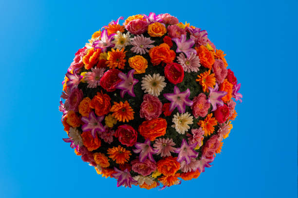 istock a round flower decoration with a sky blue background 2152598266