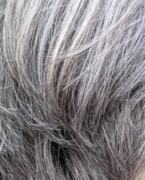 istock Gray human hair as an abstract background. Macro 2152604173