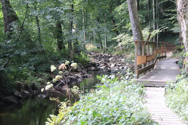 istock National Park  Hunsrueck-Hochwald 2152608932