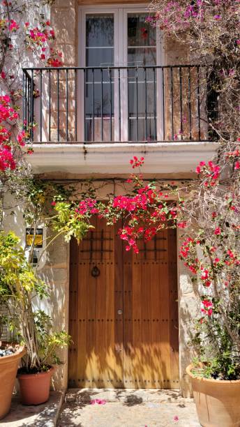 istock blooming bougainvillea 2152612581