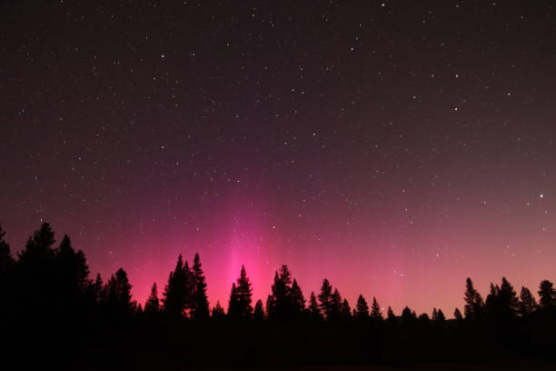 istock Tahoe National Forest - May 11, 2024 2152615533