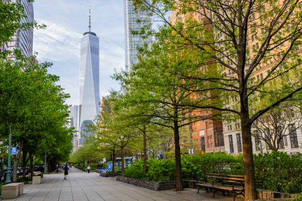 istock NYC Tree Lined Path to the Freedom Tower Through Trees in Battery Park 2152618816