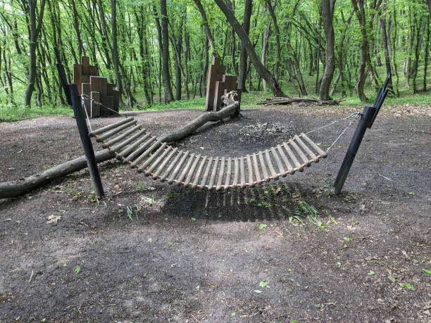 istock Wooden hammock, swing in wildlife park. 2152618980