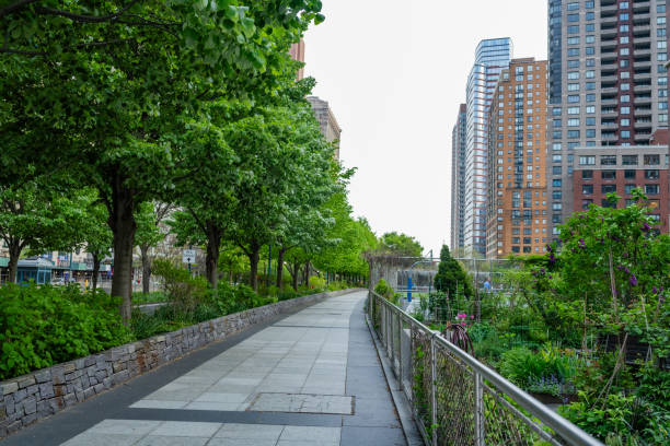 istock Empty Treelined Path in Downtown New York City 2152619530