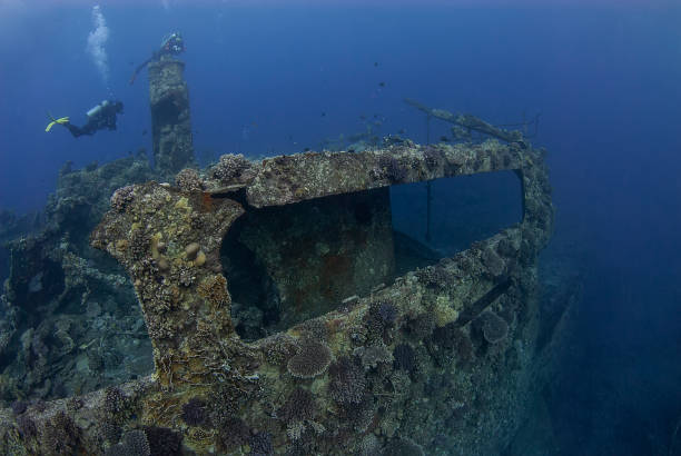 istock Mysteries Below: The Silent World of a Sunken Ship 2152625722