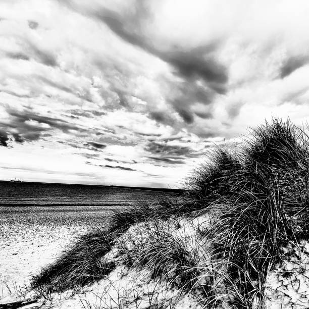 Black and white view across sand dune to the sea