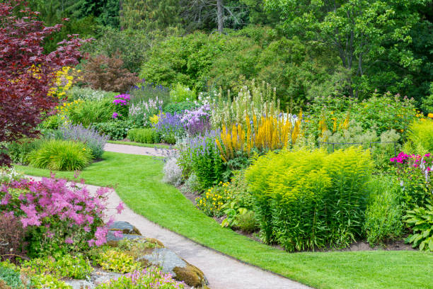 istock Botanical garden summer bloom 2152627067