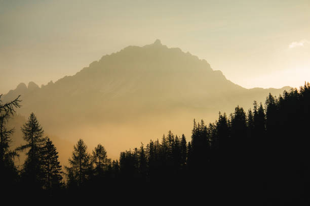 Scenic view of mountains surrounded by forest at sunset  in Dolomites