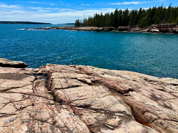 istock Ship Harbor Trail, Acadia NP 2152630058