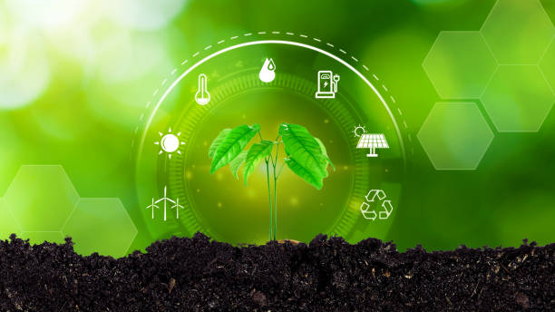 istock Young plant Seedling growing at sunlight, Environmental and ecology concept, sources for renewable and sustainable development, Digital technology agriculture and smart farming concept. 2152634022