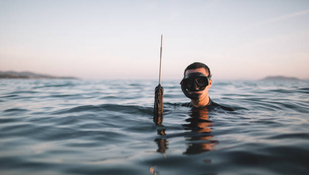 istock Spearfisherman in the water 2152635842