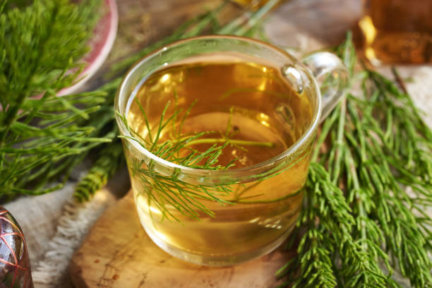istock A cup of herbal tea with fresh horsetail plant 2152636458