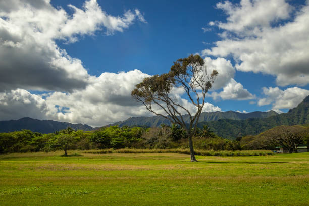 istock Kualoa Regional Park in Oahu Island, Hawaii 2152637470
