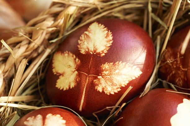 DIY easter bunny eggs