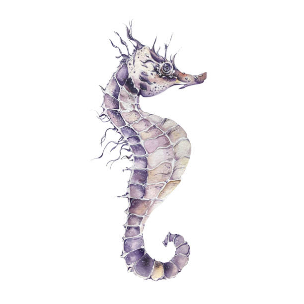 istock Watercolor Beautiful Seahorse. In Lilac Tones. Element Design for Postcards, Posters, Flyers, Logos Of Travel Agencies, Beach Summer Accessories, Travel List, Stationery, Home Textiles in Marine Theme 2152637964