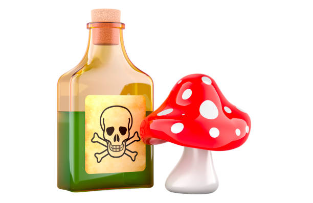 istock Poison bottle with amanita muscaria, 3D rendering 2152642490