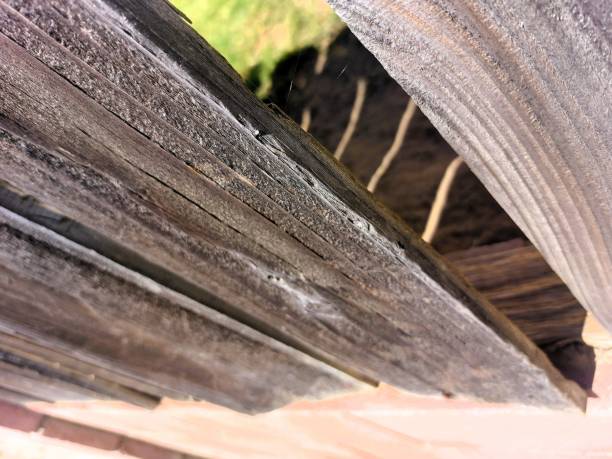 istock Wooden Fence 2152643620