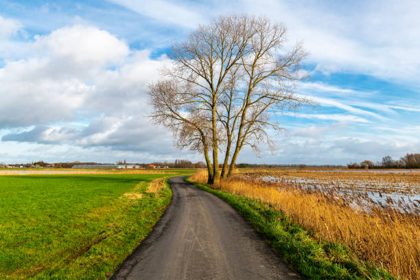 istock Country road, Belgium 2152646685