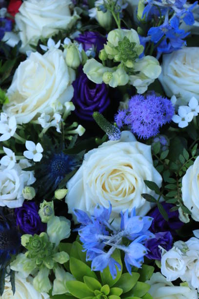 istock White and blue flower arrangement for a wedding 2152647153