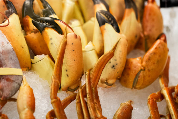 istock Stone Crab and Snow Crab Legs 2152652601