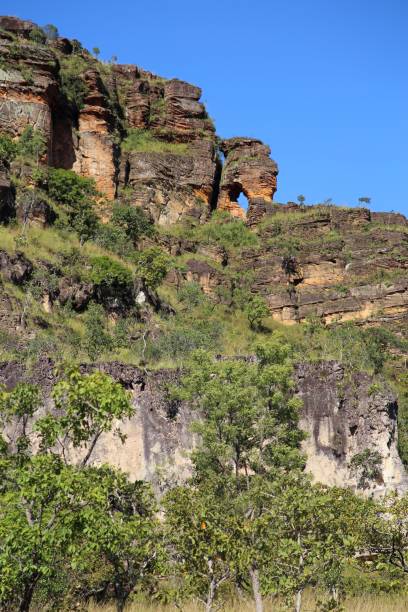 istock Cerrado vegetation and geological formation  hills 2152655166