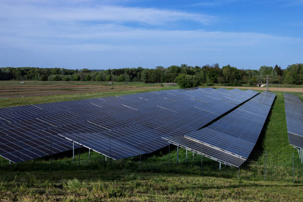 istock Solar panels on solar farm  with plants and sky in the background. 2152658039