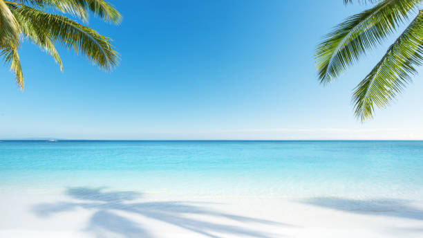 tropical paradise beach scene for background or wallpaper - tropisch stock-fotos und bilder