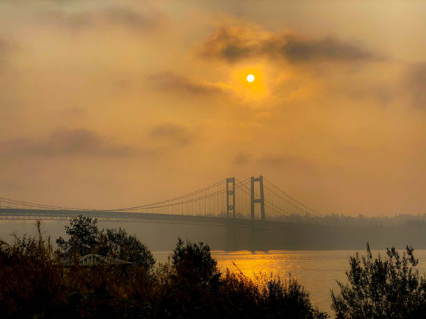 Sidney Pier on a foggy morning.