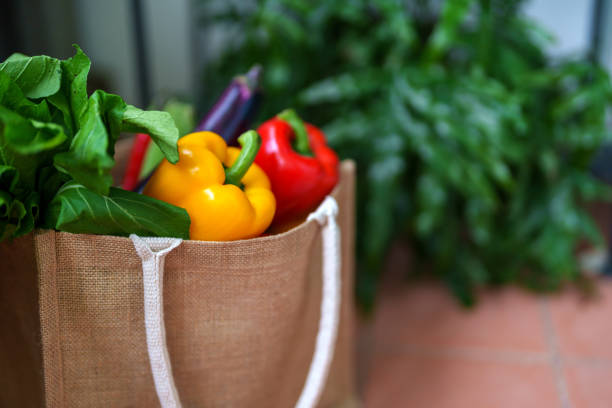 istock An eco-friendly reusable shopping bag filled with multi-colored fresh vegetables and groceries at the door entrance, representing the concept of zero waste and a sustainable lifestyle. 2152665065