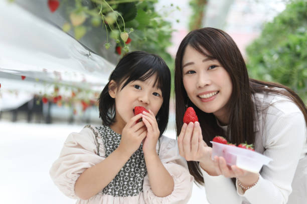 istock Parents and children enjoying strawberry picking 2152665883