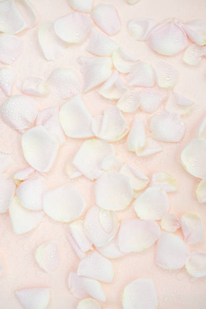 Macro photo showing clear water droplets on a white smooth surface, ideal for backgrounds, abstract moisture textures, freshness, hydration, condensation, or cleanliness in product or environmental contexts.