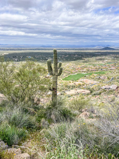 Years of hot temperatures combined with wind have created unique land formations in the Arizona area. Many come to hike amongst the various cacti and dessert plants of the southwest.