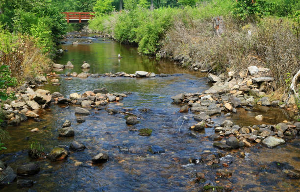 Early autumn day on the Lockatong Creek, a  tributary of the Delaware River in Hunterdon County, New Jersey.